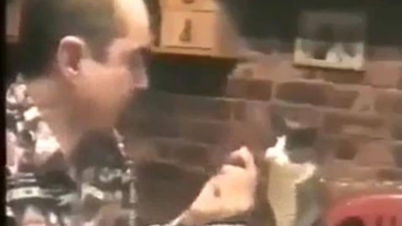 Viral Video: পোষ্য ও মালিকের যোগাযোগের মাধ্যম সাইন ল্যাঙ্গুয়েজ! ভিডিয়ো মন কাড়ল নেটিজ়েনদের