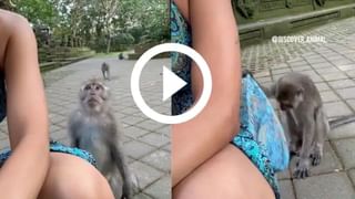 Viral Video: ছোট্ট মেয়েটাকে ‘ভুলিয়ে’ তার হাতের ললিলপ নিয়ে পালাল কিউট কুকুরছানা, ভাইরাল ভিডিয়োর এখন ২ মিলিয়ন ভিউ