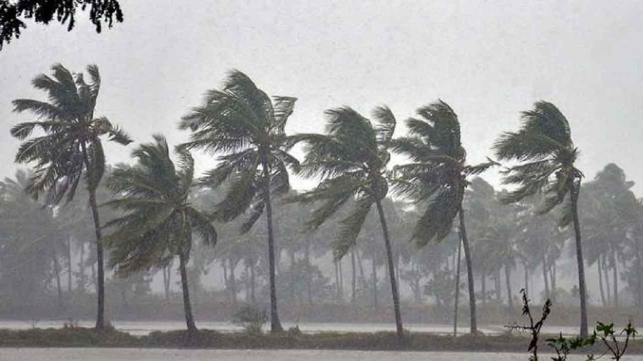 West Bengal Weather Update: 'অশনি' সঙ্কেত বাংলার বুকে... ঘূর্ণাবর্ত নিম্নচাপের রূপ নিয়েছে, বাংলায় কবে থেকে বৃষ্টি শুরু, জানাল হাওয়া অফিস