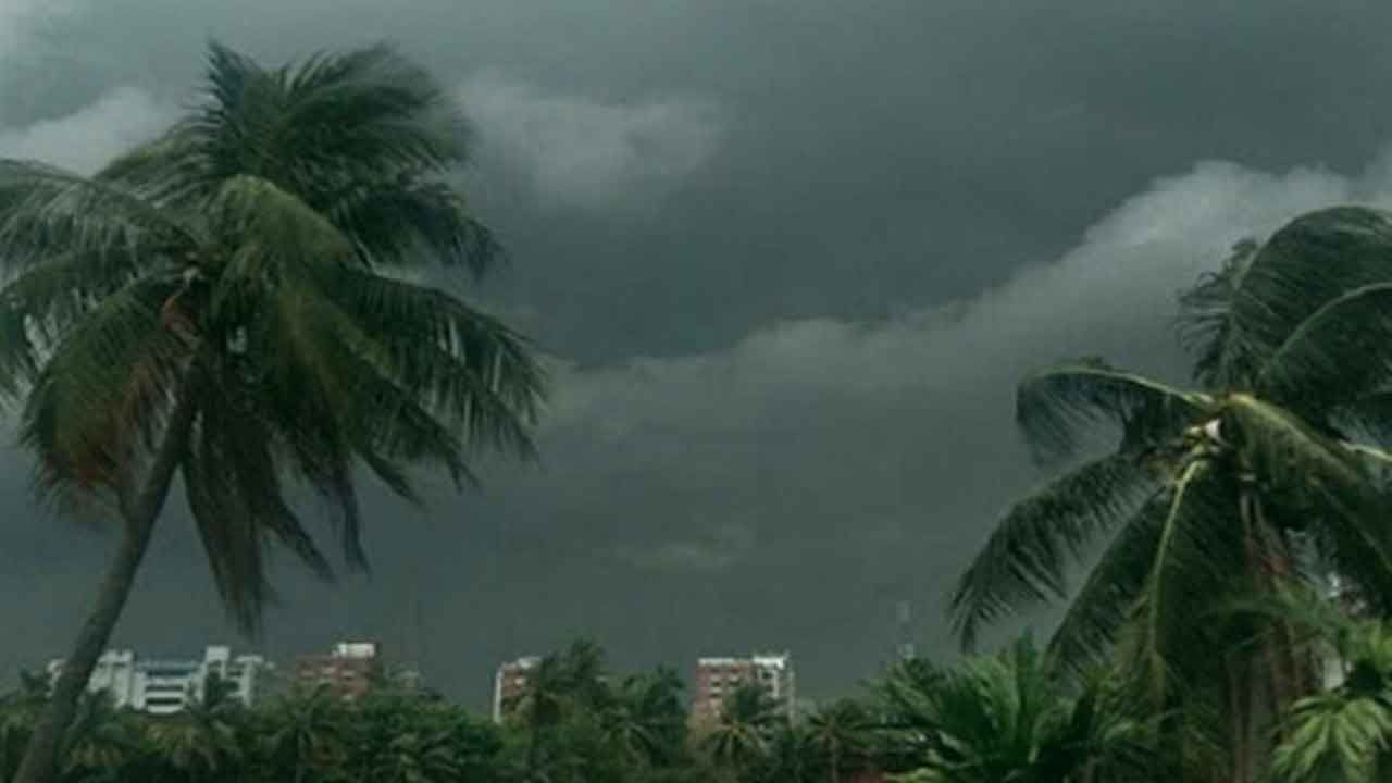 West Bengal Weather Update: কালো মেঘে ঢেকেছে আকাশ, ধেয়ে আসছে ঝড়বৃষ্টি... জেলায় জেলায় শুরু দুর্যোগ