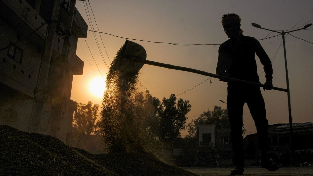 India on Wheat Ban: 'অযৌক্তিকভাবে দাম বৃদ্ধি পাচ্ছে', গম রফতানির নিষেধাজ্ঞার কারণ জানাল ভারত