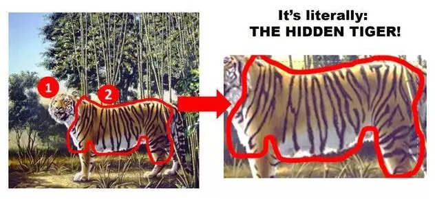 Optical Illusion f Hidden Tiger