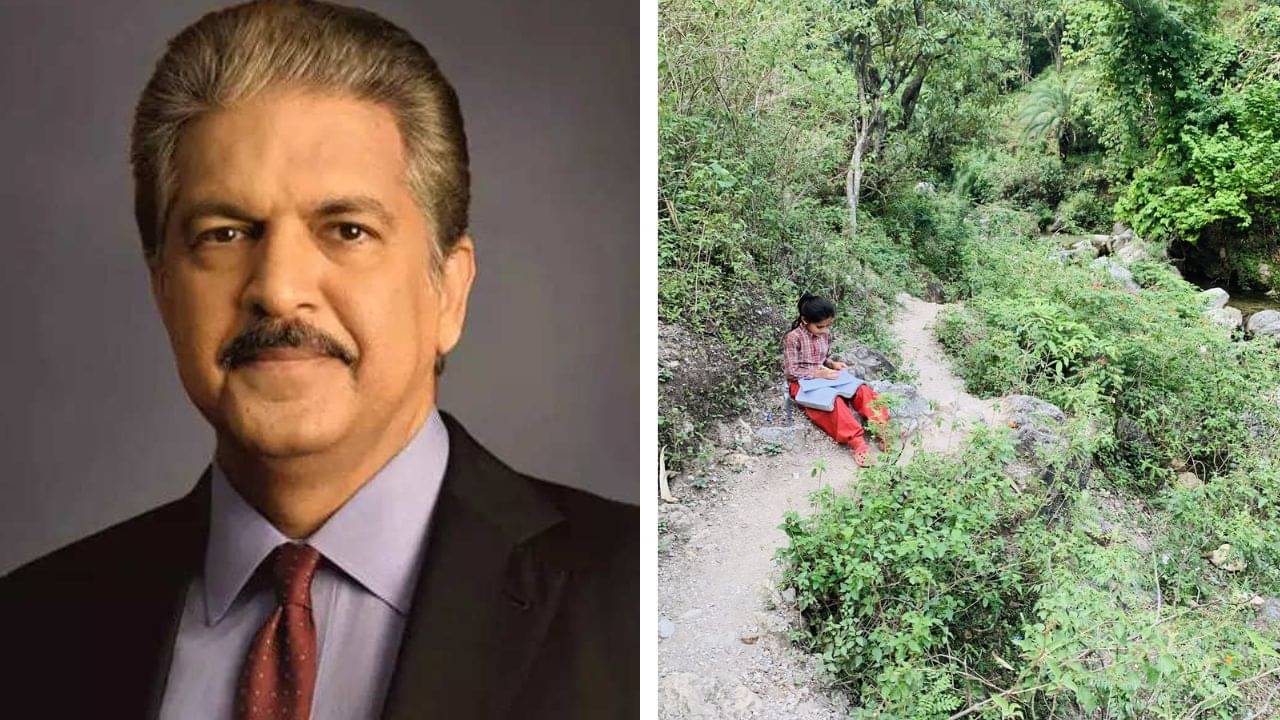 Anand Mahindra: শিক্ষাগত যোগ্যতা কী, আনন্দ মাহিন্দ্রাকে প্রশ্ন ব্যক্তির! শিল্পপতির মোক্ষম জবাবে মুগ্ধ সকলে