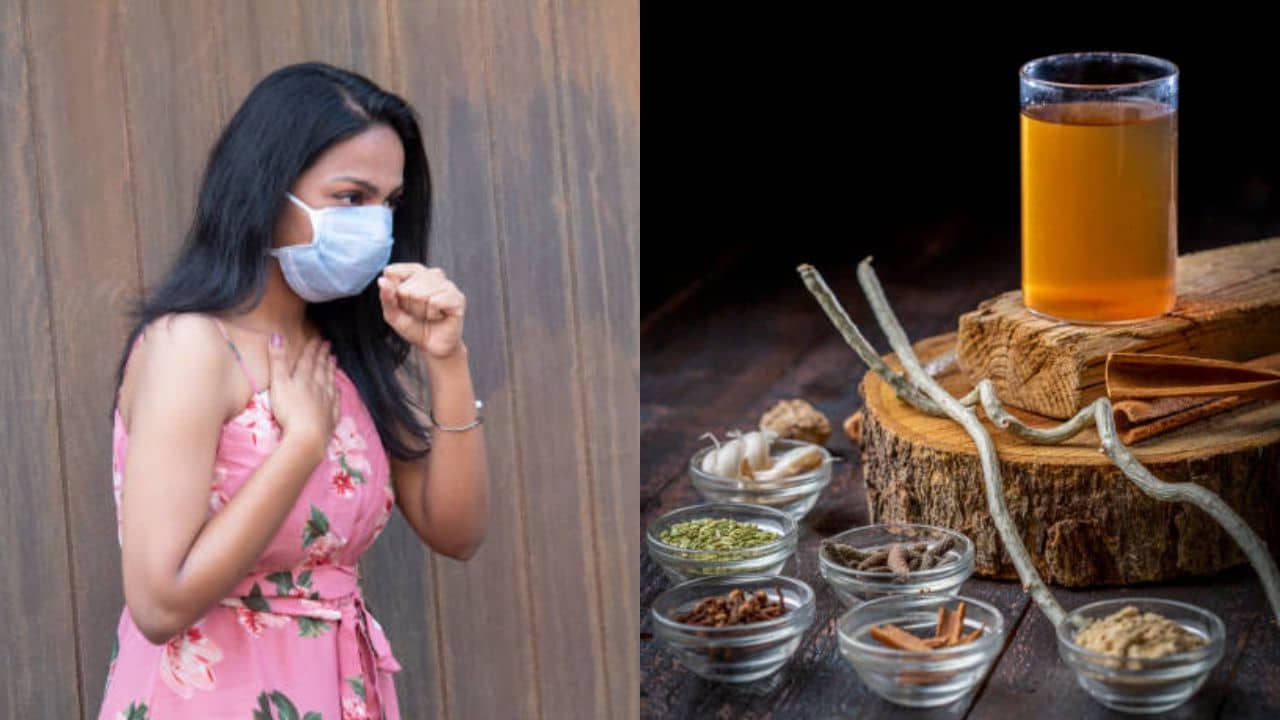 Ayurvedic Tips: করোনা চতুর্থ ঢেউ উদ্বেগ বাড়াচ্ছে? আয়ুর্বেদের এই পানীয়তেই হবে ম্যাজিক