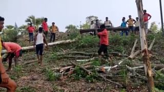 Bankura: যাত্রী তোলা নিয়ে ঝামেলা, চোখের সামনেই ছেলেটাকে পিটিয়ে মারল ‘ওরা’