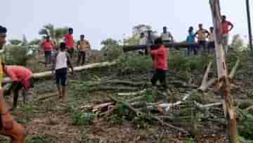 Bankura: পরিবেশ দিবসেই গাছ কেটে পাচারের চেষ্টা, গ্রামবাসীদের বাধায় শেষ পর্যন্ত পিছু হঠল দুষ্কৃতীরা