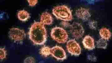 Monkeypox Virus Outbreak: মাঙ্কিপক্স ভাইরাস বায়ুবাহিত! নয়া চাঞ্চল্যকর তথ্যে উদ্বিগ্ন চিকিত্‍সকরা