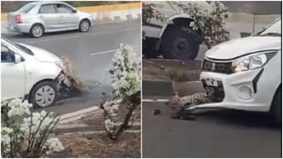 Viral Video: পুরীর জগন্নাথ মন্দিরের সামনেও অনর্গল বেজে চলেছে ভুবনের কাঁচা বাদাম, বাঁশিবাদকের সুরে সকলে অবাক!