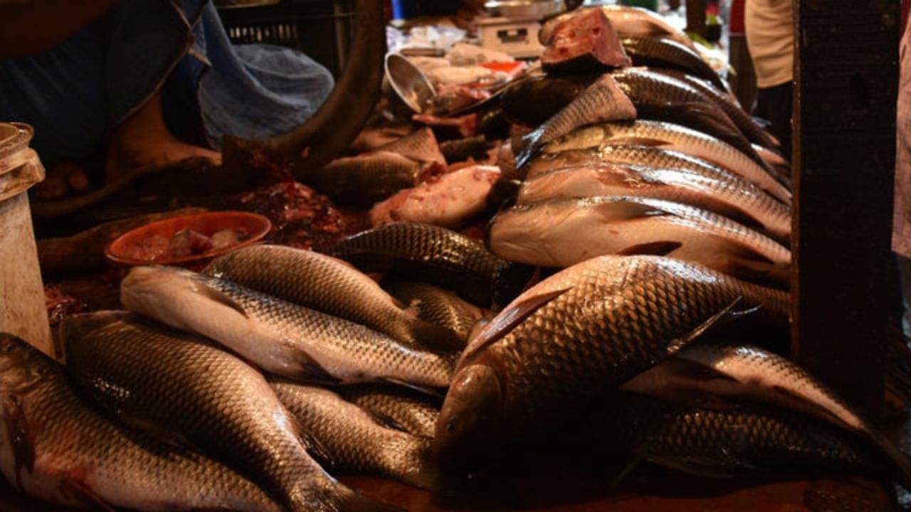 Skin Cancer: সপ্তাহে কটা মাছ খাবেন? কোন মাছ খেলে হতে পারে ক্যানসার, সতর্কবার্তা বিজ্ঞানীদের