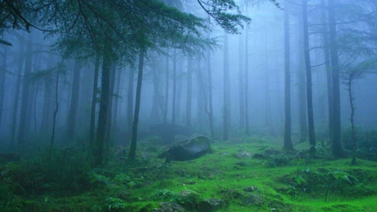 Daringbadi: বর্ষায় কাশ্মীর ভ্রমণ হোক মাত্র ৫,০০০ টাকায়! রইল অফবিটের খুঁটিনাটি