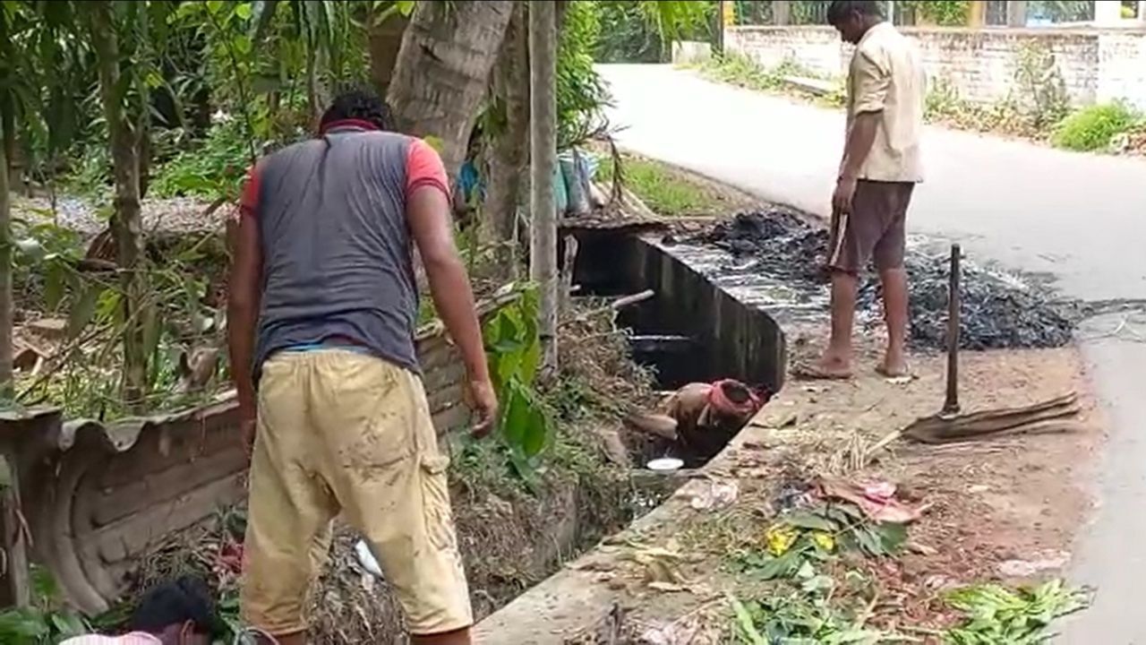 Dengue Panic in Nadia: নদিয়ায় ডেঙ্গু আক্রান্ত কিশোর, খবর চাউর হতেই শুরু নিকাশি সংস্কার, স্যানিটাইজ়েশন