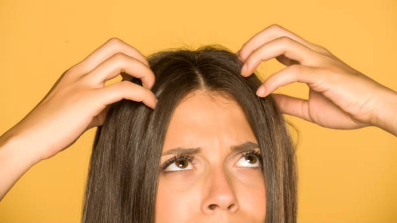 Oily Scalp & Hair: তৈলাক্ত স্ক্যাল্প থেকে বাড়ছে ত্বকের সমস্যা, উপায় কী?  পরামর্শ চর্মরোগ বিশেষজ্ঞের - Dermatologist Shares hair Care Tips To Deal  With Oily Scalp And Hair | TV9 Bangla
