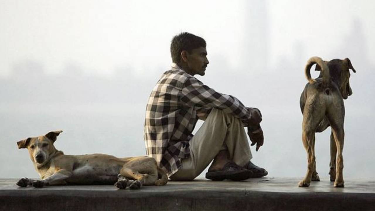 Dogs-Human Relation: কুকুররা মানুষের এত ভাল বন্ধু হয় কী করে? উত্তর লুকিয়ে দুটি জিনের মিউটিশনে