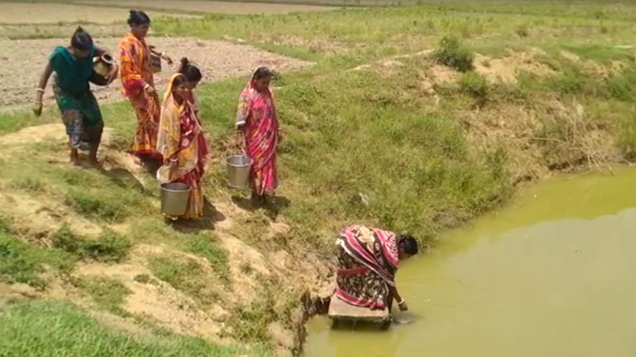 Drinking Water Problem : 'কল আছে, জল নেই', পানীয় জলের জন্য পুকুরই ভরসা মুর্শিদাবাদের এই গ্রামের