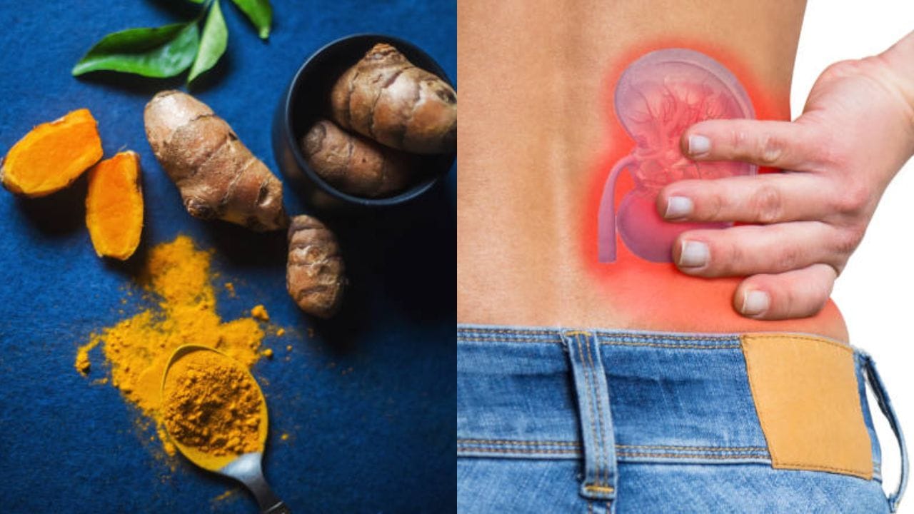 Kidney Problem এই ৪ ভেষজেই ভাল থাকবে কিডনি, দাবি আয়ুর্বেদ চিকিৎসকের