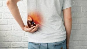 Diet Tips for Kidney Patients: কিডনিতে পাথর ধরা পড়েছে? সেরে উঠতে কেমন হবে আপনার নতুন ডায়েট...