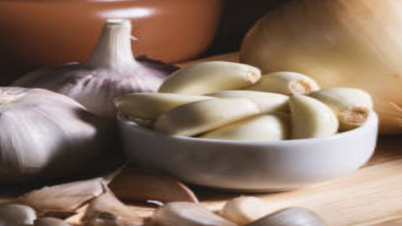 গর্ভবতী মহিলাদের কি রসুন খাওয়া উচিত? TV9Bangla Is Garlic Safe