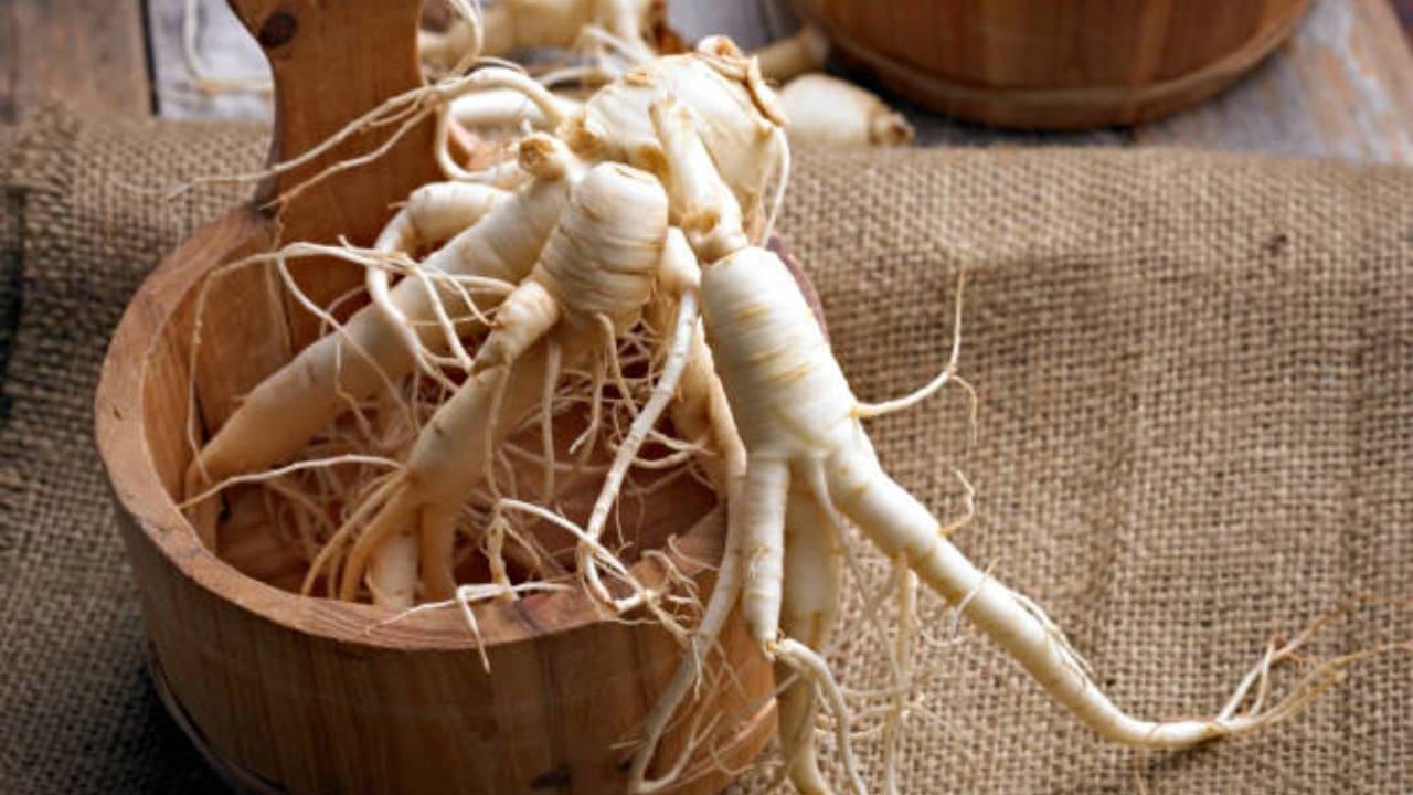 Ginseng: কোরিয়ান বিউটির ফ্যান? জিনসেং-এর গুণ জানলে আজ থেকেই ব্যবহার করবেন!