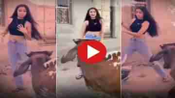 Viral Video: জনপ্রিয় হওয়ার উদগ্র বাসনা, ষাঁড়ের সামনেই সেজেগুজে নাচ মেয়ের, তারপর যা হল, দেখুন একবার