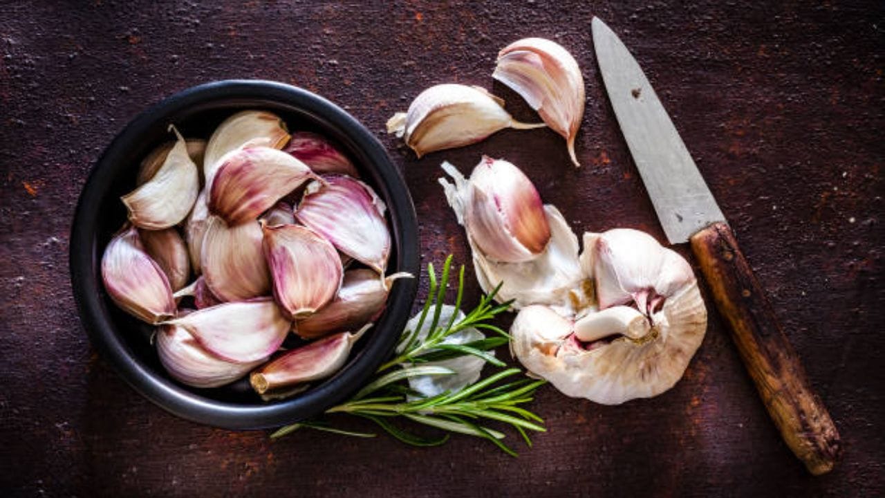 Health Benefits of Garlic রোজ সকালে এক কোয়া রসুনেই লুকিয়ে চমক! কেন