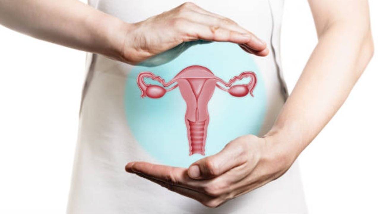 Vaginal Infections: বৃষ্টির দিনে কীভাবে এড়াবেন ভ্যাজাইনাল ইনফেকশনের ঝুঁকি? রইল টিপস