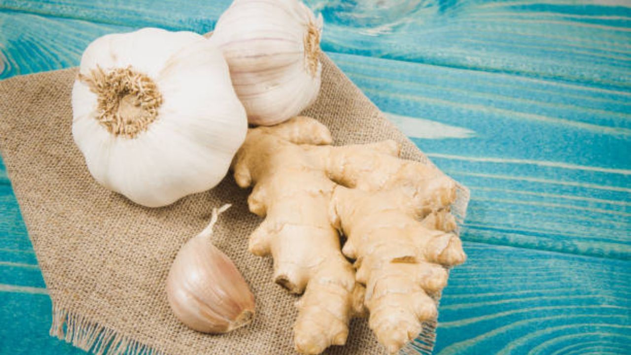 Health Tips সপ্তাহে কতবার আদারসুন দিয়ে রান্না করেন? উপকার জানলে এবার