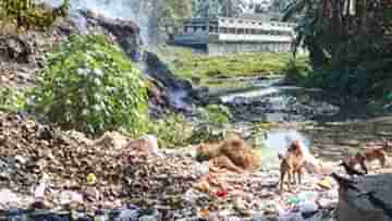 Jalpaiguri River: শীর্ণ কুমলাই এখন মরা গরু আর হাসপাতালের বর্জ্যের স্তূপ,  বিশ্ব পরিবেশ দিবসে জলপাইগুড়িতে এ কেমন ছবি