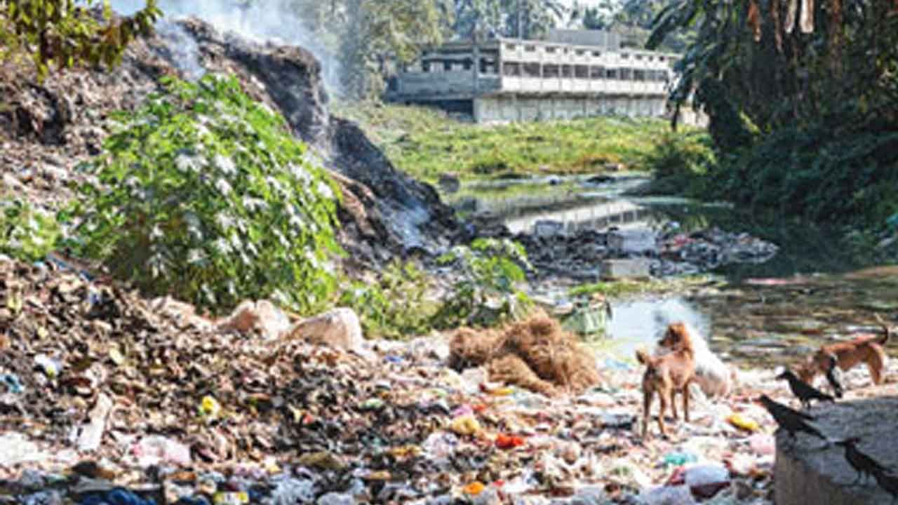 Jalpaiguri River: শীর্ণ কুমলাই এখন মরা গরু আর হাসপাতালের বর্জ্যের স্তূপ,  বিশ্ব পরিবেশ দিবসে জলপাইগুড়িতে এ কেমন ছবি