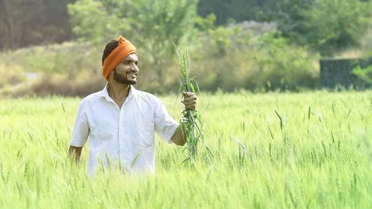 Cabinet Decision On MSP : কৃষকদের জন্য কেন্দ্রীয় সরকারের বড় উপহার, বাড়ল খারিফ শস্যের MSP