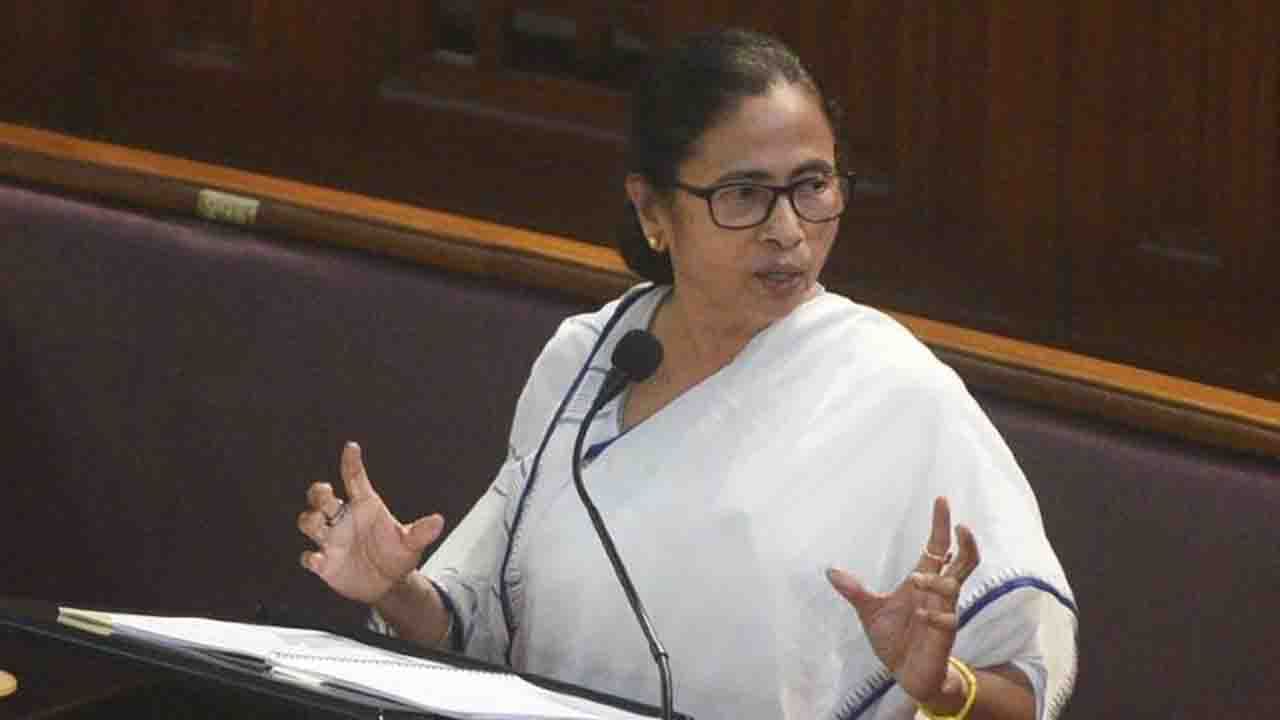 Mamata Banerjee at Assembly: ১৭ হাজার লোকের চাকরি গেলে তোমার বাড়িতে পাঠাব: মমতা