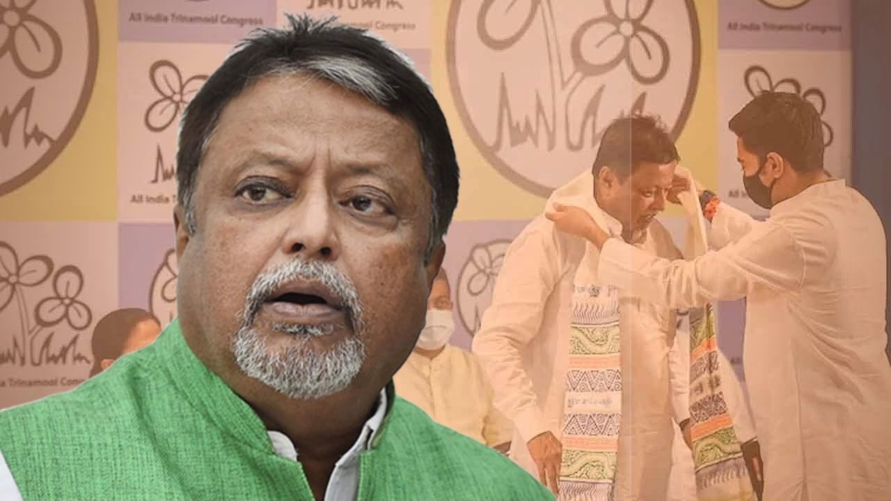 Mukul Roy: ঝরেনি মুকুল, রায় সাহেব আছেন পদ্মেই, দলত্যাগের অভিযোগ খারিজ বিধানসভায়