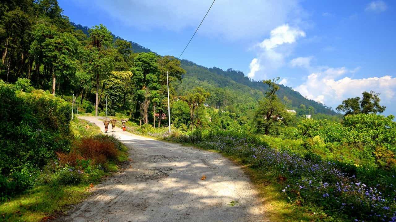 Kalimpong: কম খরচেও এবার পাহাড় ভ্রমণ সম্ভব, পেডং দেবে আপনাকে সেই সুযোগ Kalimpong: কম খরচেও এবার পাহাড় ভ্রমণ সম্ভব, পেডং দেবে আপনাকে সেই সুযোগ