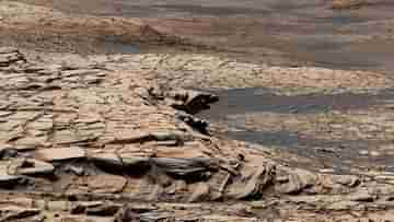 Life On Mars: পাথরের নমুনা সংগ্রহ করল নাসার কিউরিওসিটি রোভার, রয়েছে পৃথিবীর মতোই জীবনের উপাদান