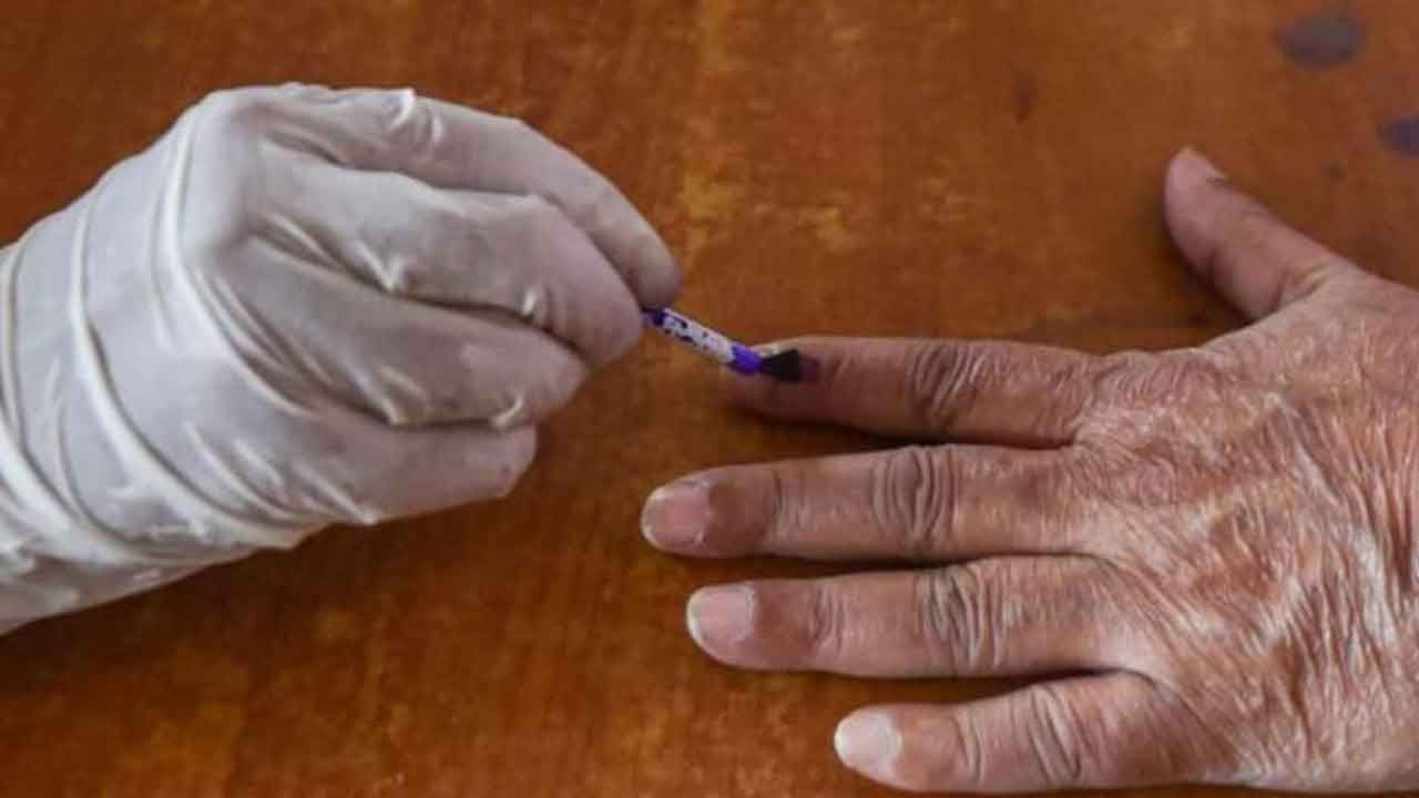 Siliguri Election: নির্দলে একাধিক শাসক নেতা, সব আসনে প্রার্থীই দিতে পারল না বাম-বিজেপি, জমজমাট শিলিগুড়ির নির্বাচন