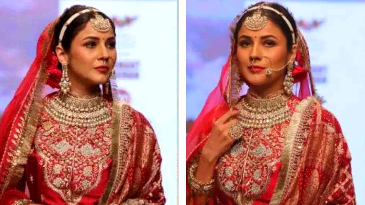 Shehnaaz Gill: জীবনের নতুন অধ্যায় শুরু শেহনাজের, চেয়ে নিলেন শুভেচ্ছা