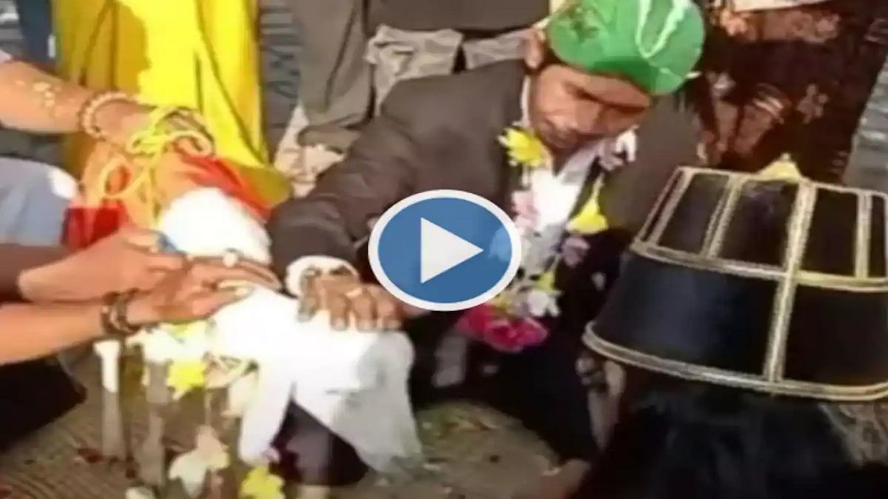 Viral Video: বুক ভরা আশা আর অনেকটা ভালবাসা! ১১৭ টাকা পণ নিয়ে ছাগলের সঙ্গে বিয়ে করলেন ইনি