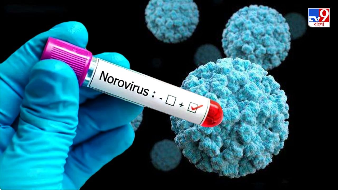 Norovirus: কোভিডের চতুর্থ ঢেউয়ের আশঙ্কার মধ্যেই নতুন আতঙ্ক