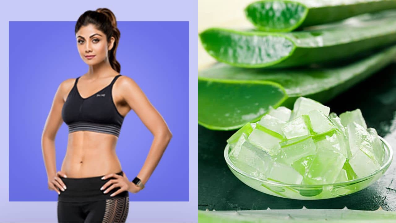 Aloe Vera Juice: পঞ্চাশে গিয়েও শিল্পার মত ফিট থাকতে চান? ভরসা রাখুন একগ্লাস অ্যালোভেরার জুসেই