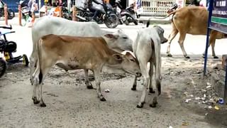 Malda: বন্ধ ঘরে মুখে ব্লাউজ গুঁজে, হাত-পা বেঁধে স্বামীর সঙ্গে ‘অদ্ভুত আচরণ’ সদ্য বিবাহিতা স্ত্রী-র