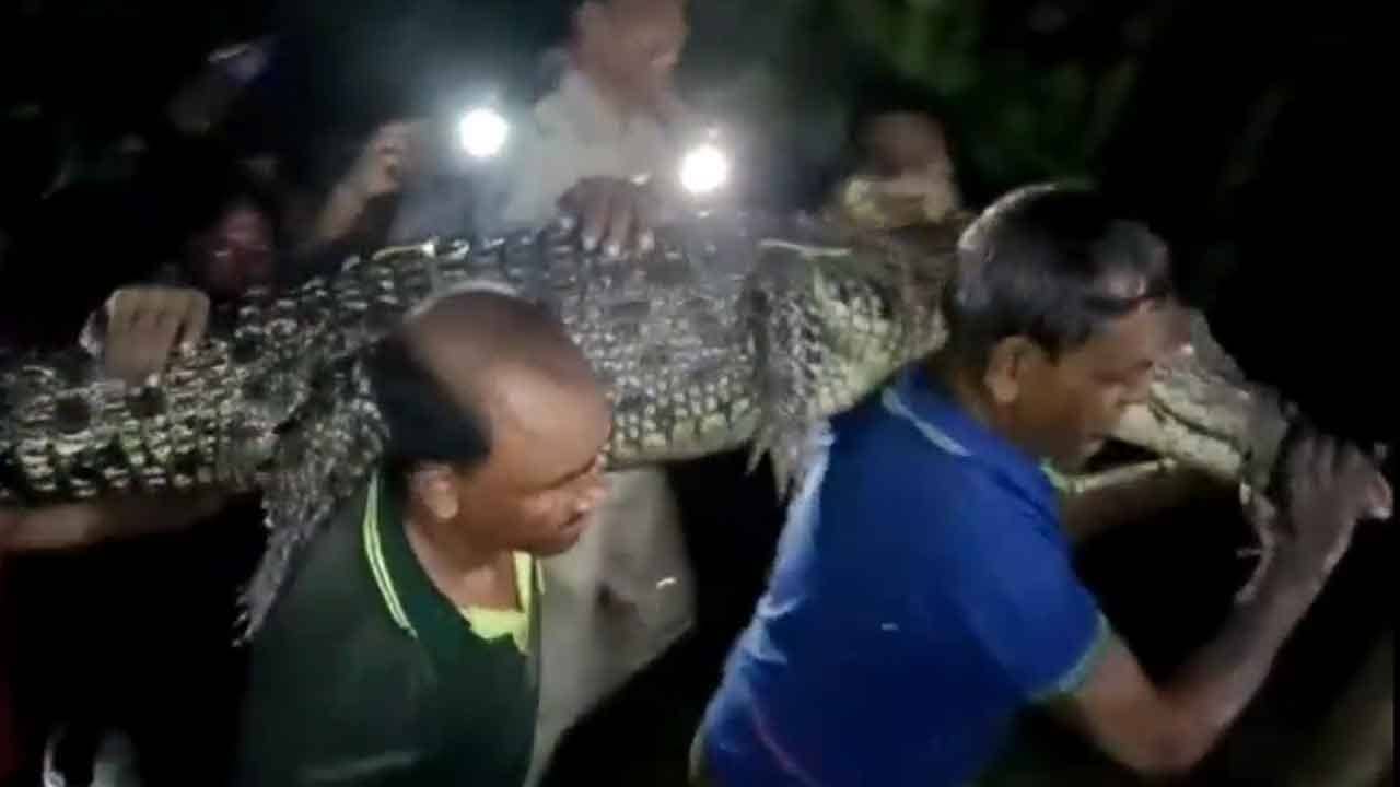 Gosaba: ভরসন্ধ্যায় পুকুরের জলে শরীর ডুবিয়ে চলছে খেলা, দৃশ্য দেখে চোখ কপালে উঠল এলাকার লোকজনের