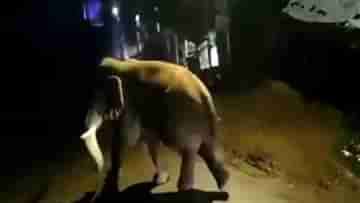 Elephant Kills Woman : উঠোনে খাটিয়ায় ঘুমোচ্ছিলেন, শিয়রে এসে দাঁড়াল মৃত্যু দূত