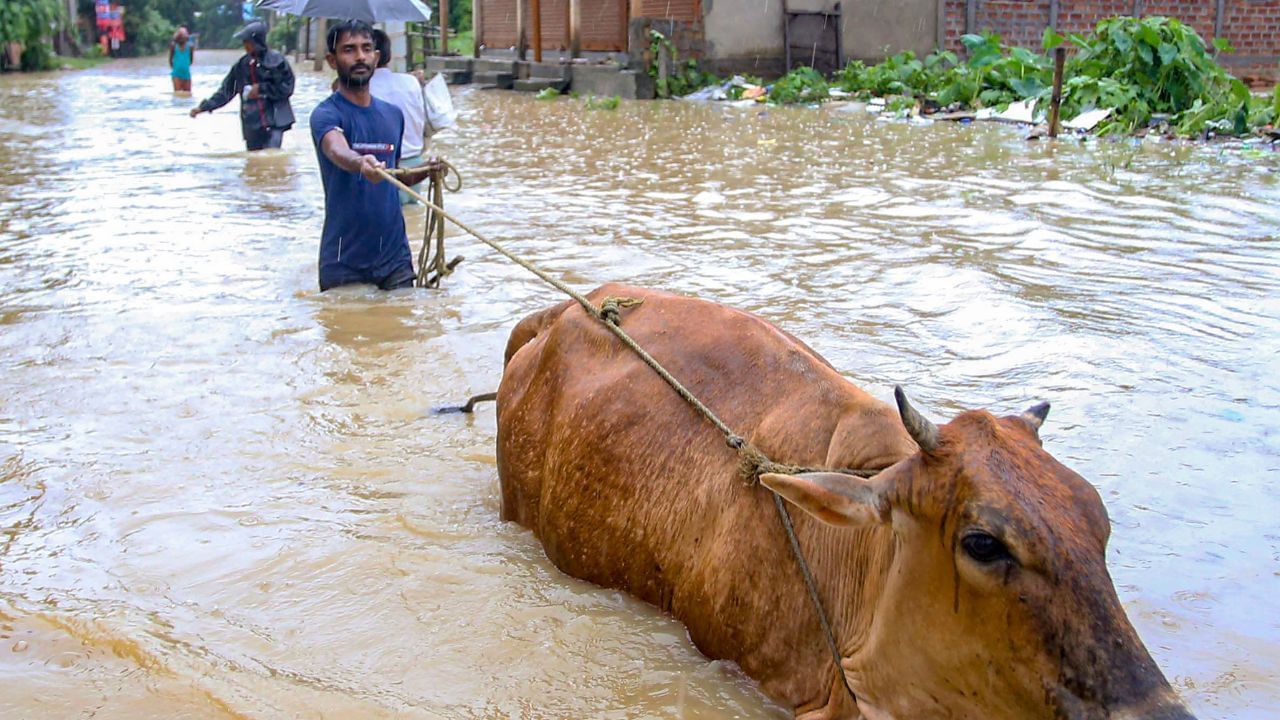 Flood: ফুঁসছে ব্রহ্মপুত্র, বন্যা-ধসে ক্ষতিগ্রস্ত ৩০ লক্ষ, ১ সপ্তাহেই  অসম-মেঘালয়ে মৃত কমপক্ষে ৪২ - Bengali News | Flood Situation Worsening in  Assam, Meghalaya, At least 42 ...