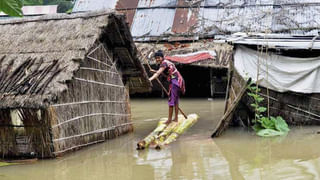 Thailand: স্যুটকেসে চিড়িয়াখানা পাচার! বিমানবন্দরে বেরিয়ে এল একের পর এক সজারু, কচ্ছপ, আরমাডিলো, সাপ…