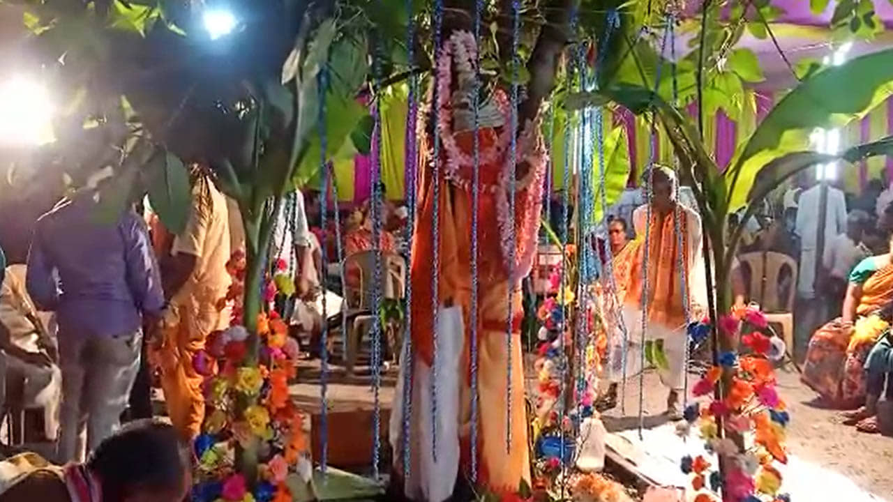 Bizarre Marriage: বট পাকুড়ের বিয়ে, টোপর মাথায় দিয়ে! ৫ হাজার লোক খেল উপহার দিয়ে