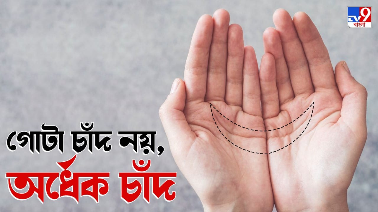 Palmistry 2022 