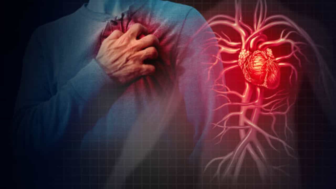 Heart Attack: যে সব লক্ষণে বুঝবেন আপনি হৃদরোগে ভুগছেন! জানুন প্রাথমিক কর্তব্য Heart Attack: যে সব লক্ষণে বুঝবেন আপনি হৃদরোগে ভুগছেন! জানুন প্রাথমিক কর্তব্য