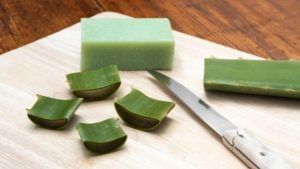 Aloe Vera Soap: নামী ব্র্যান্ডের সাবান ব্যবহারে র‍্যাশ বেরিয়েছে? কেমিক্যাল-ফ্রি সোপ তৈরি করুন নিজেই