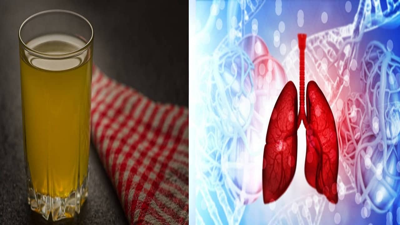 Blood Detoxification: গরমে চুমুক দিন এই পানীয়ে, রক্ত পরিষ্কার হবে ভিতর থেকে...