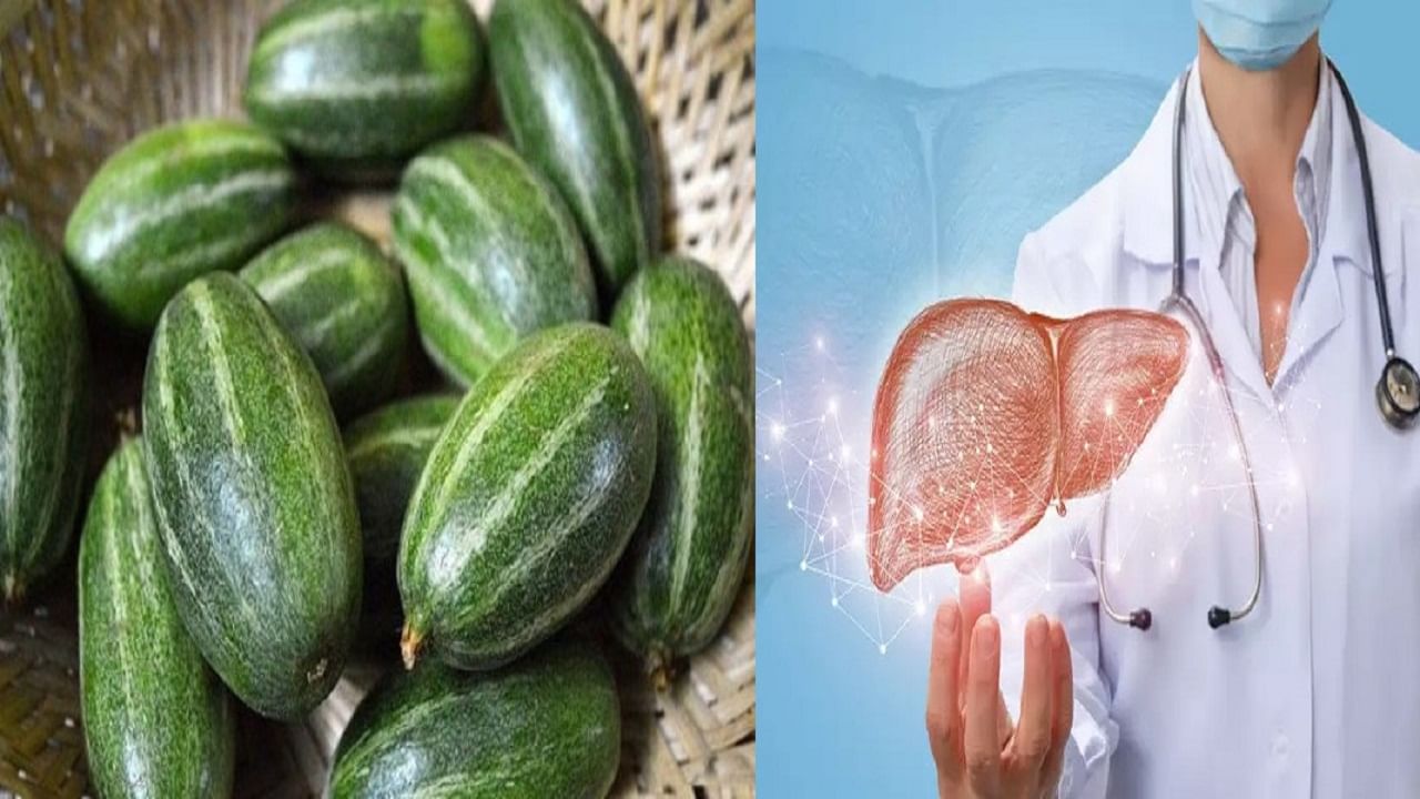 Pointed Gourd Benefits: গরমের এই সস্তার সবজি মুখে রোচে না অনেকের, স্বাস্থ্যগুণ জানলে চমকে যাবেন!