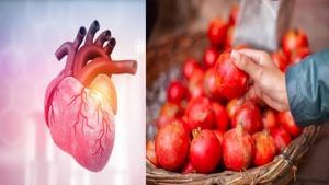 Pomegranate Health Benefits: কোলেস্টেরল আর হাইব্লাডপ্রেসার নিয়ন্ত্রণে রাখতে এই চেনা ফলের জুড়ি নেই, দাবি চিকিৎসকদের